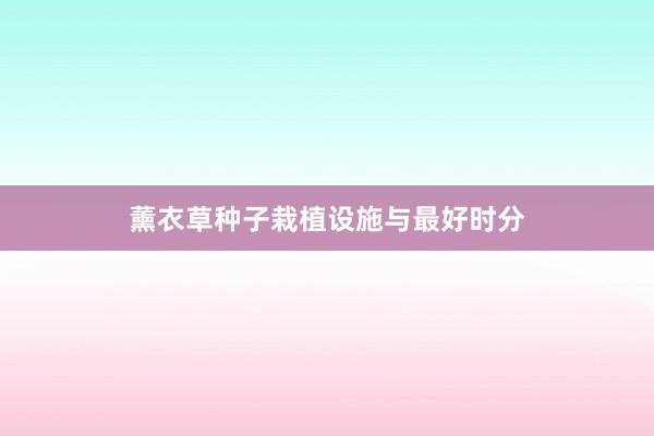 薰衣草种子栽植设施与最好时分