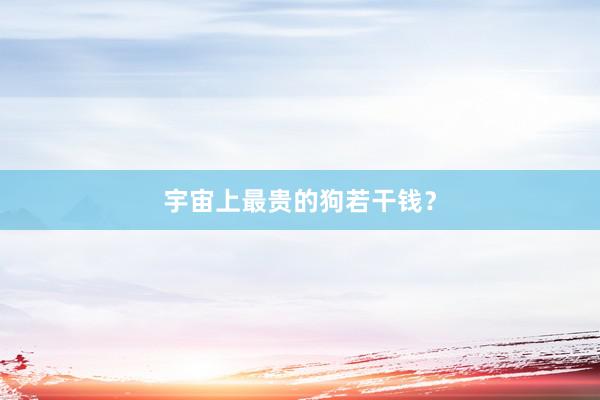 宇宙上最贵的狗若干钱?