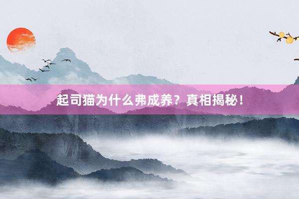 起司猫为什么弗成养？真相揭秘！