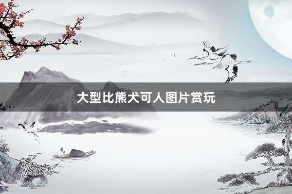 大型比熊犬可人图片赏玩